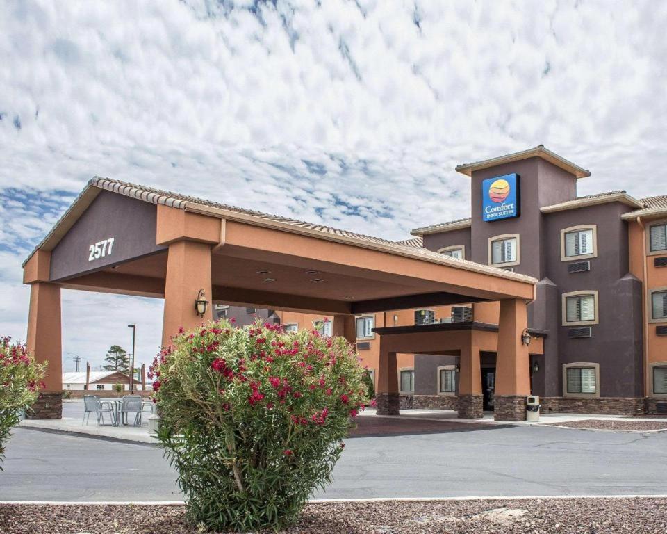 Comfort Inn And Suites Thatcher Buitenkant foto